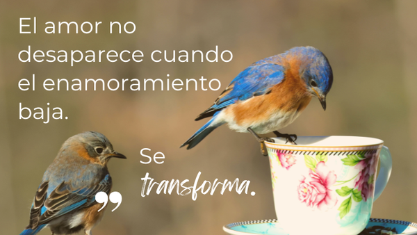 Imagen descriptiva