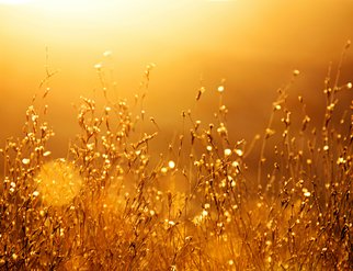 vahid-kanani-ksONS6t3ksI-unsplash